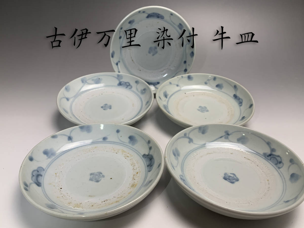 古伊万里 5客セット 琳派 和皿揃 有田焼 古伊万里様式 賞美堂 染付