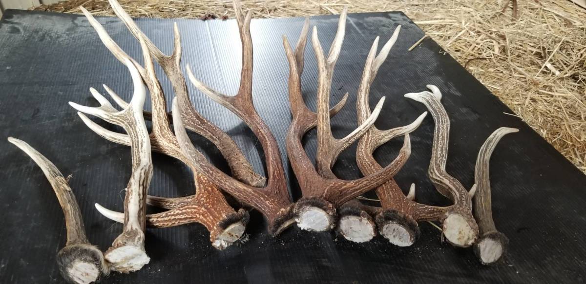 未使用極美品創巧 野々田 江戸火鉢 織部 卓上品 火鉢 - メルカリ