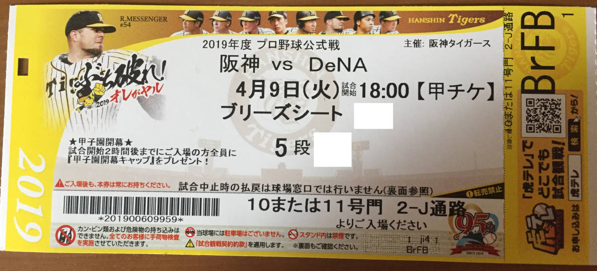 阪神甲子園球場 6/25(金) 18:00阪神vsDeNA ブリーズシート2枚 6月18日