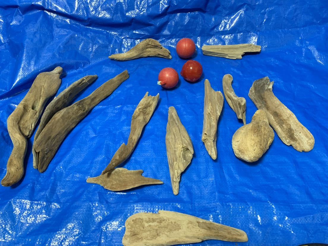 G流木 セット ミニ浮き玉 熱湯消毒済み アク抜き インテリア 置物 アート アクアリウム Diy 工作 水槽装飾品 売買されたオークション情報 Yahooの商品情報をアーカイブ公開 オークファン Aucfan Com