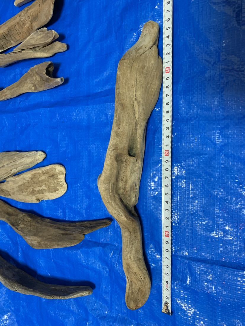 G流木 セット ミニ浮き玉 熱湯消毒済み アク抜き インテリア 置物 アート アクアリウム Diy 工作 水槽装飾品 売買されたオークション情報 Yahooの商品情報をアーカイブ公開 オークファン Aucfan Com