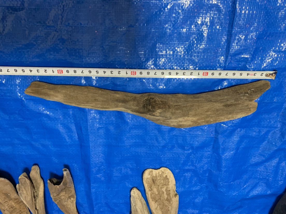 G流木 セット ミニ浮き玉 熱湯消毒済み アク抜き インテリア 置物 アート アクアリウム Diy 工作 水槽装飾品 売買されたオークション情報 Yahooの商品情報をアーカイブ公開 オークファン Aucfan Com