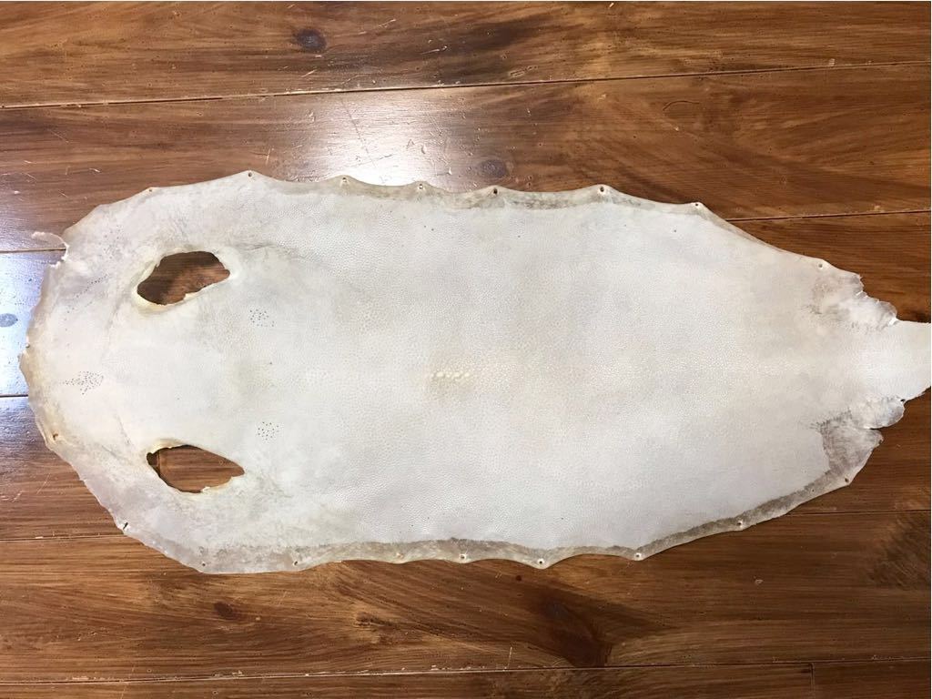  柄巻 武道具 刀 鮫皮 柄下地 日本刀 エイ皮 縦約65cm&times;横約28cm ① エイ革(鍔、刀装具)｜売買されたオークション情報、yahooの商品情報をアーカイブ公開 - オークファン 鍔、刀装具
