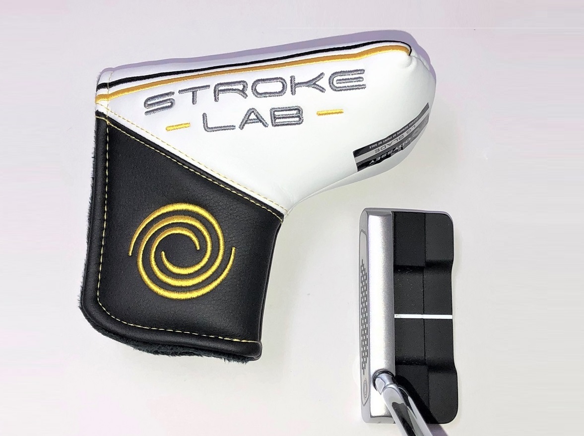 ★2019新製品★ ストロークラボ　DWパター 