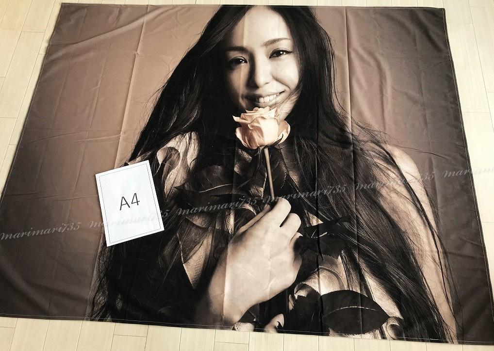 安室奈美恵タペストリー2枚組 安室奈美恵タペストリー2枚組 安室奈美恵」の人気商品一覧・価格比較
