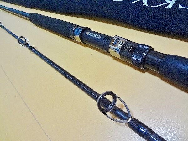 ダイコー タイドマーク ロッキーショア パーガトリー TMRPS 100/13（H 