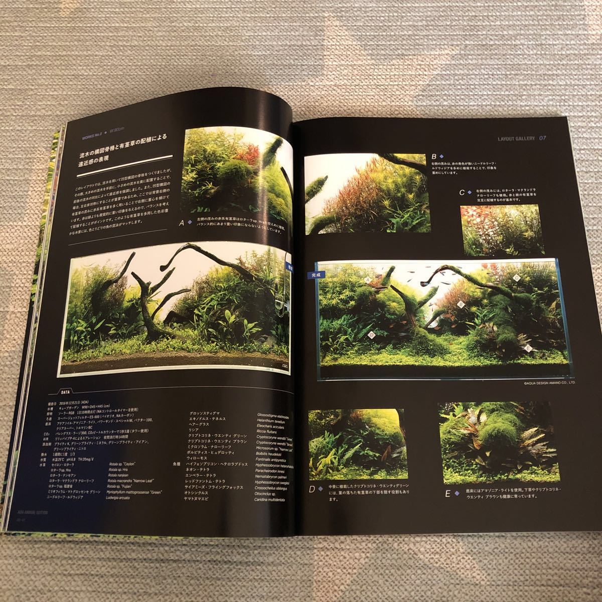 ADA ANNUAL EDITION アニュアルエディション2017_3