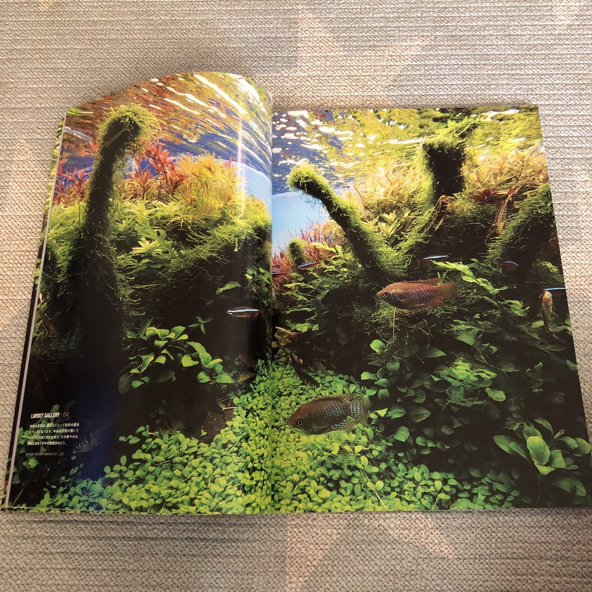 ADA ANNUAL EDITION アニュアルエディション2017_4