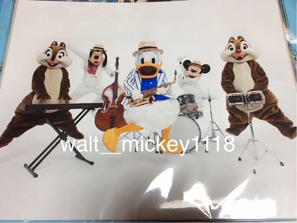 即決☆新品☆限定 東京ディズニーランド 35周年記念 蜷川実花 イマジ