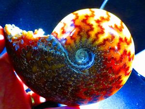 何万個の中の一個☆上級贅品☆天然マダガスカル産 オパール