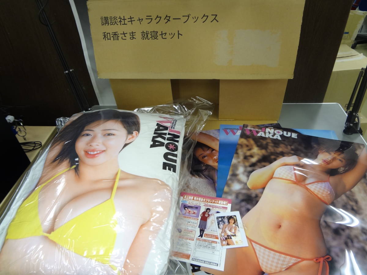 人気，定番人気 講談社 井上和香 和香さま 就寝グッズ 抱き枕 クリアポスター3枚 テレカ 品(井上和香)｜売買されたオークション情報、yahooの商品情報をアーカイブ公開 - オークファン い