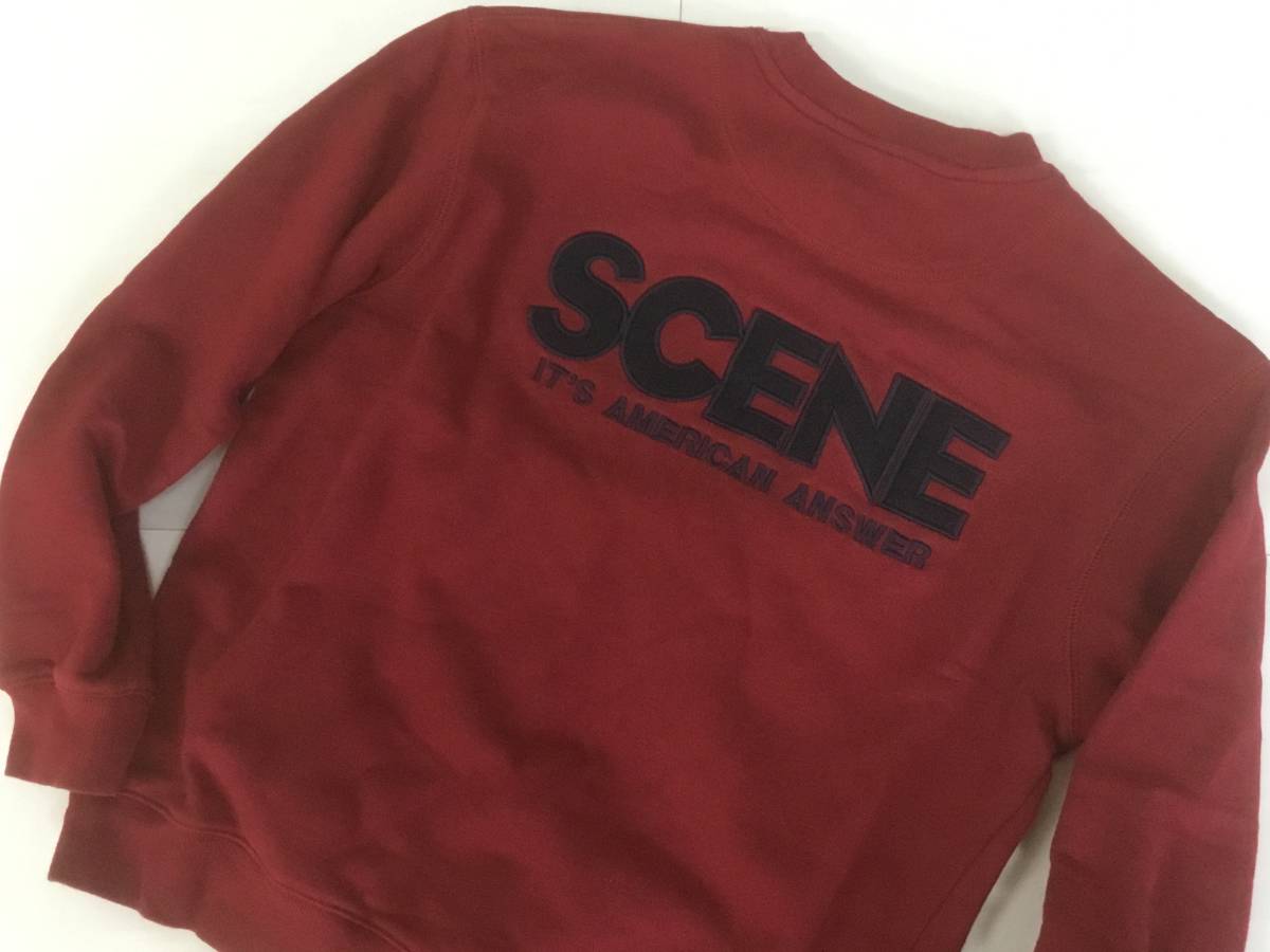 送料無料！SCENE IT