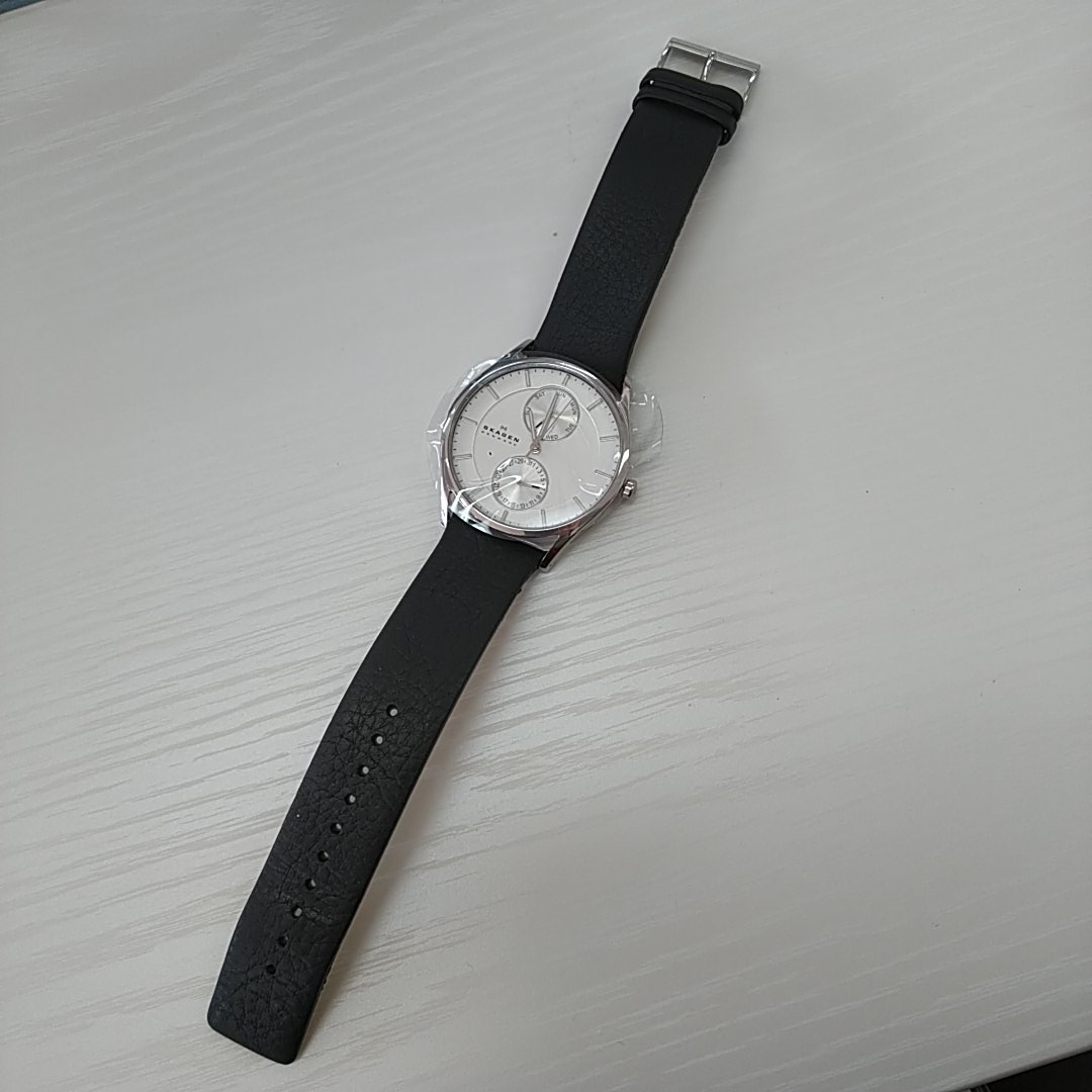 ジャンク扱い★[スカーゲン] 腕時計 HOLST SKW6065_3