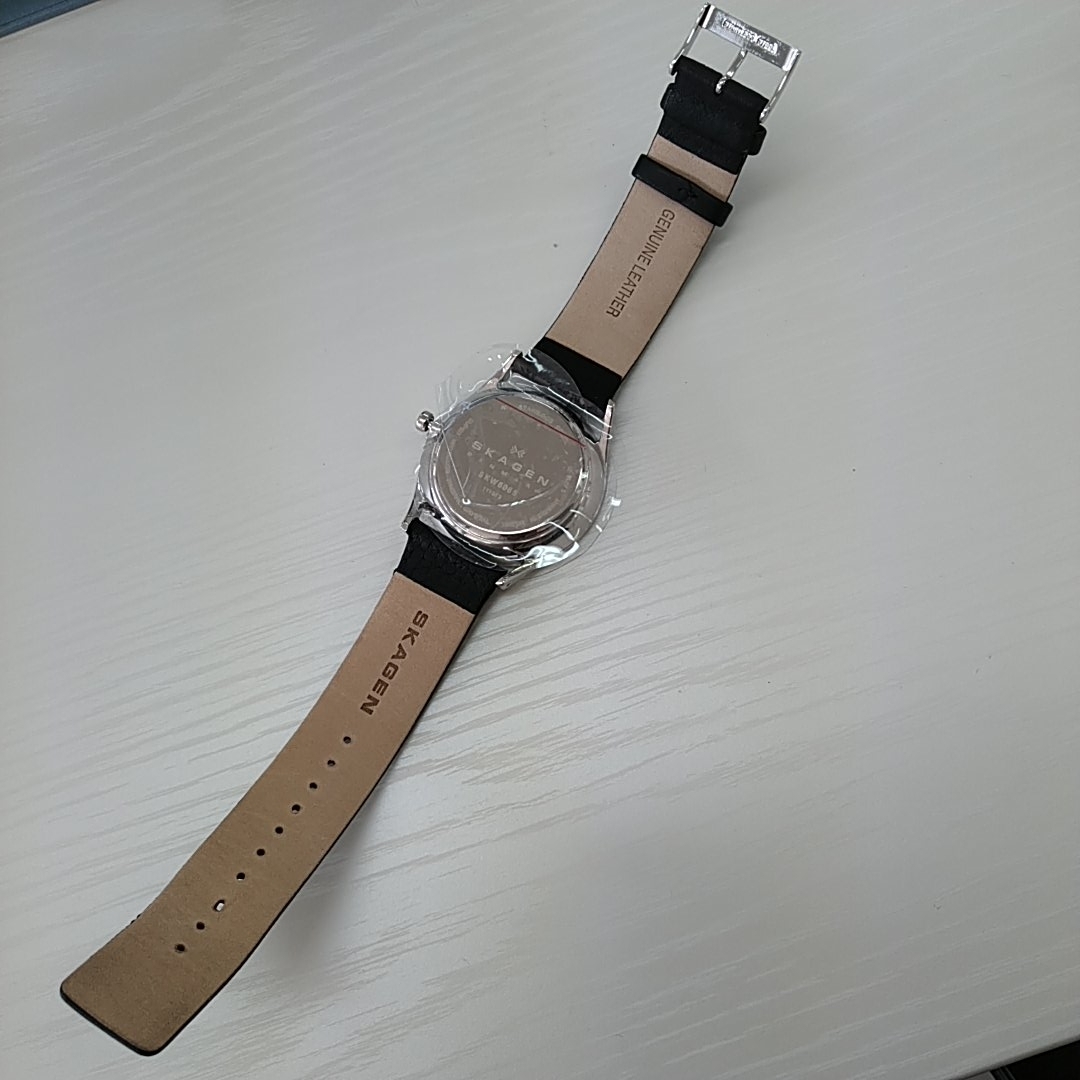 ジャンク扱い★[スカーゲン] 腕時計 HOLST SKW6065_4