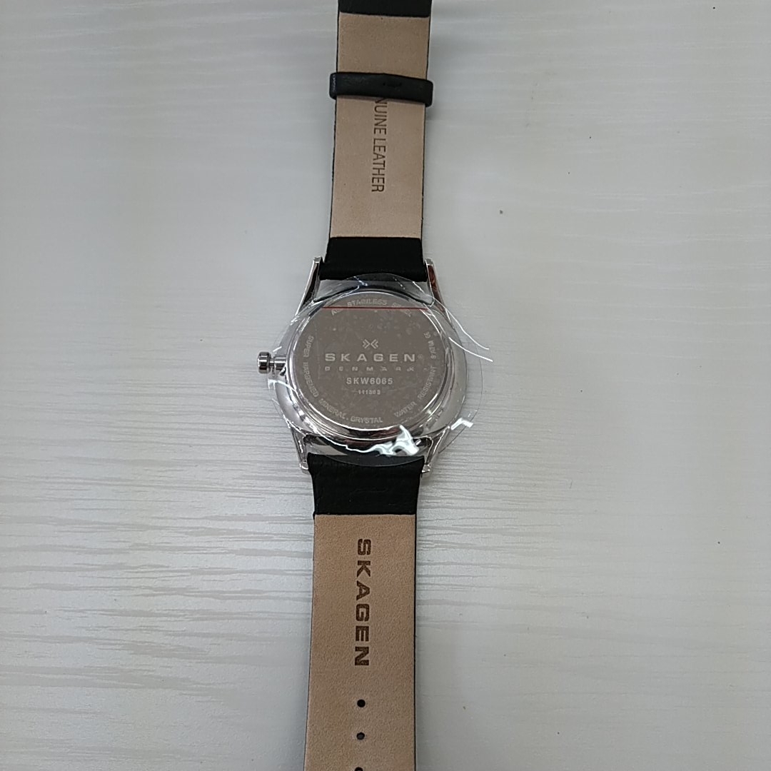 ジャンク扱い★[スカーゲン] 腕時計 HOLST SKW6065_6