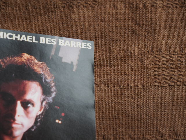 DES MICHAEL 虚構のアウトロー BARRES ⁄ スティーヴジョーンズギター 