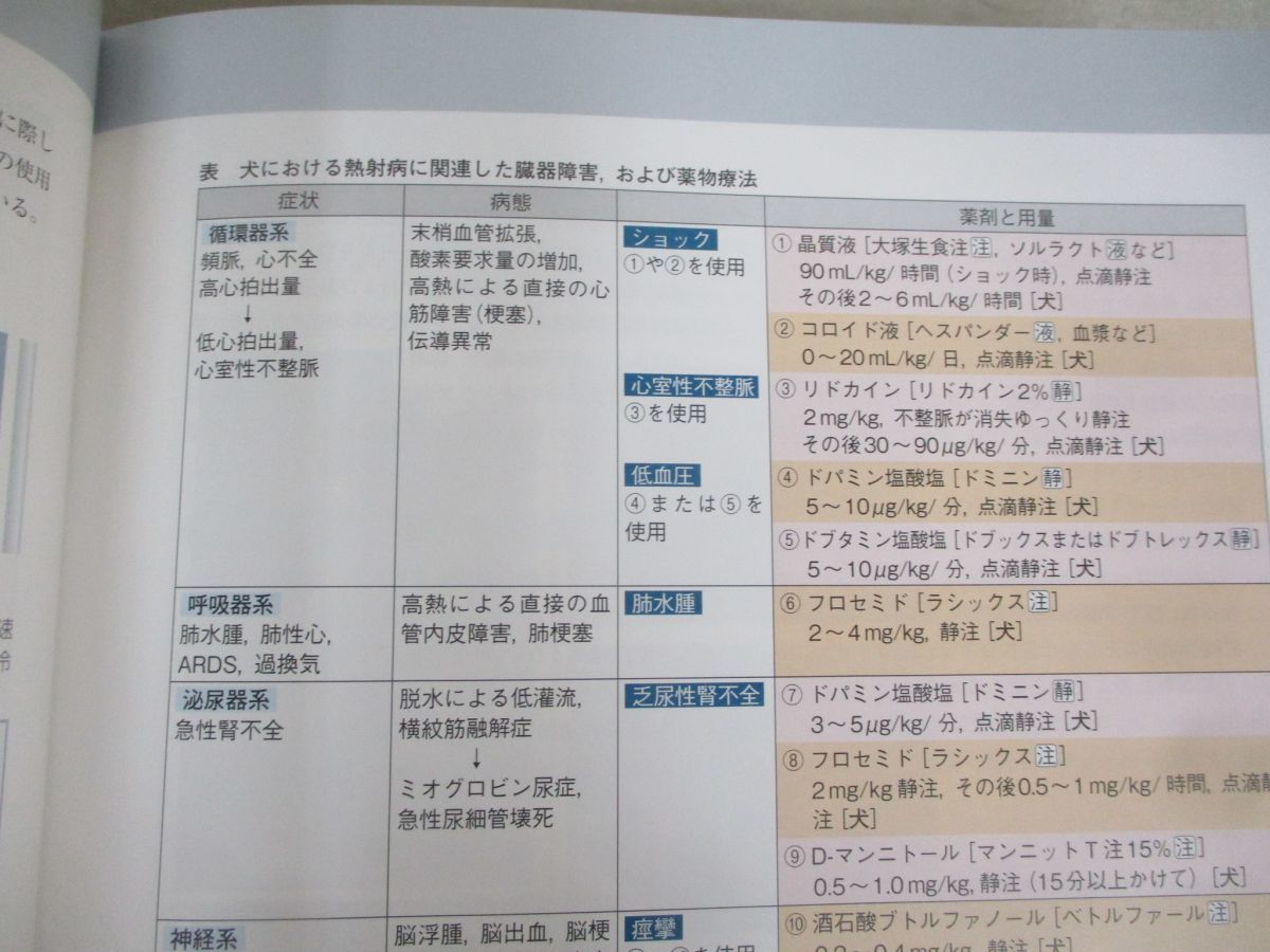 犬と猫の治療ガイド | SA BOOKS Medicine no : 書籍制作・販売 ｜ Mori