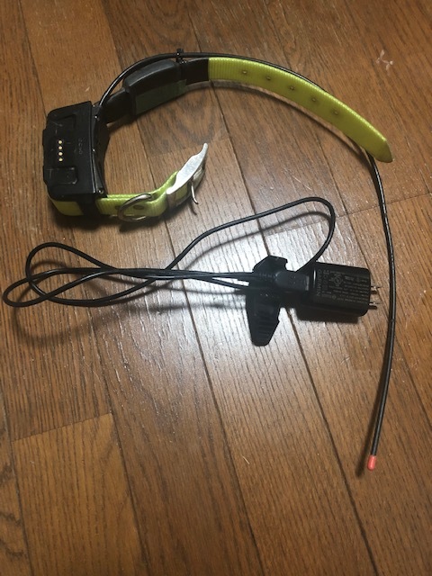 GARMIN ASTRO DC50首輪（中古品） GARMIN ASTRO DC50首輪（中古品） dc50.webp