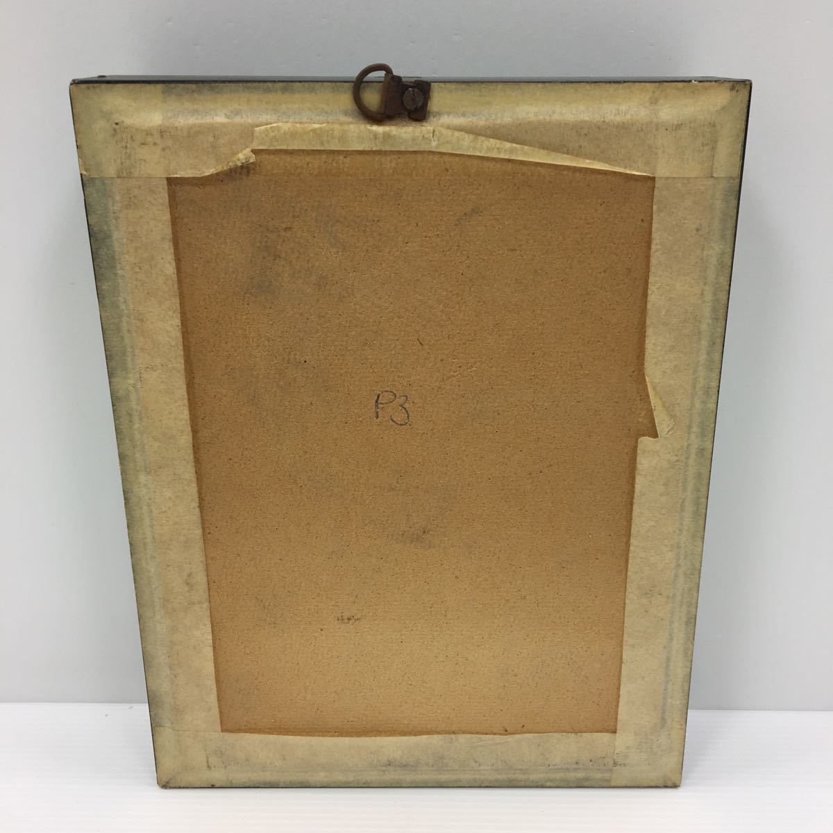 【中古】蝶 標本 17匹_10