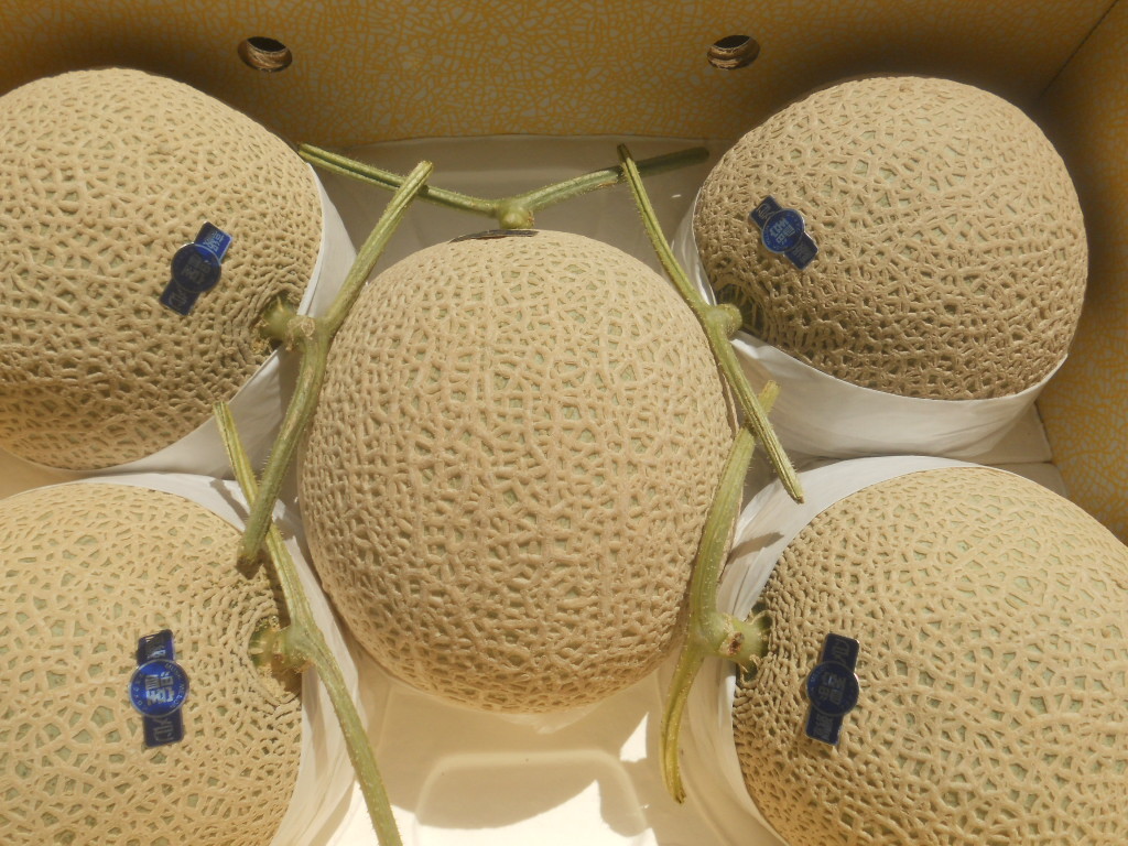 ☆ 送料無料 ☆ 即発送 ☆ 高知産 マスクメロン 5玉入 約10．0Kg
