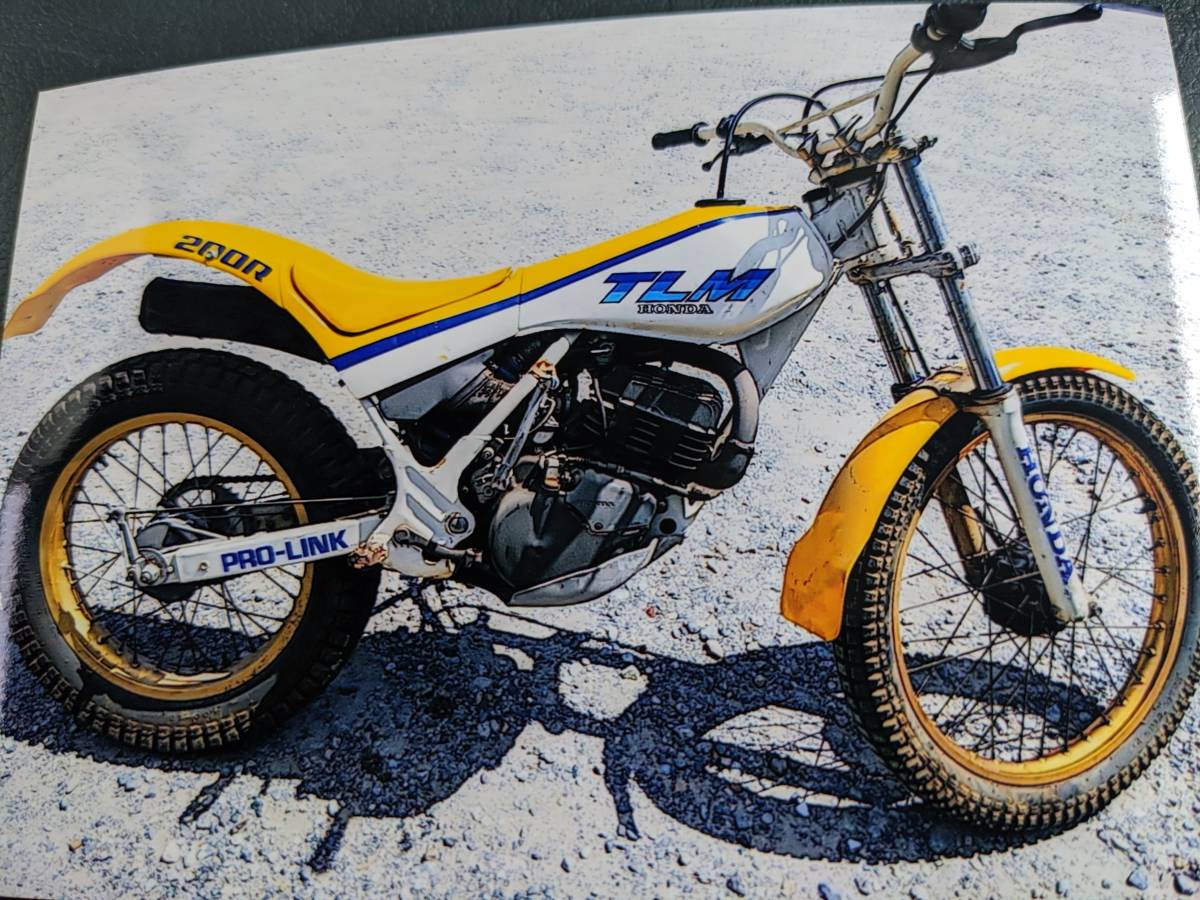 レーサー TLM(126cc-250cc)｜売買されたオークション情報、yahooの商品 