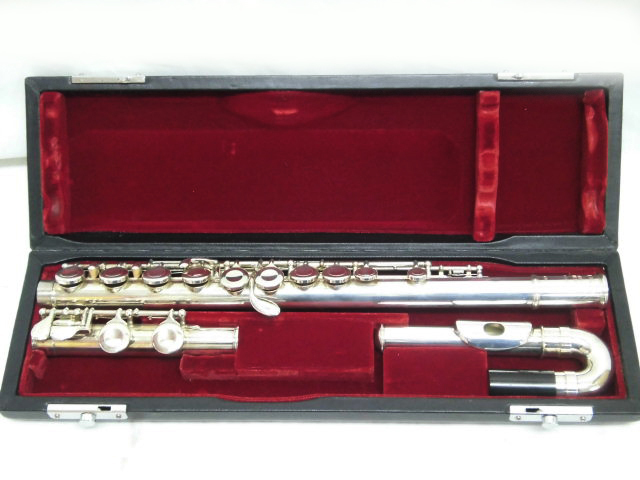 PF-501 Pearl Flute Eメカ付き 美品Pearl - PF-501の人気アイテム 2026