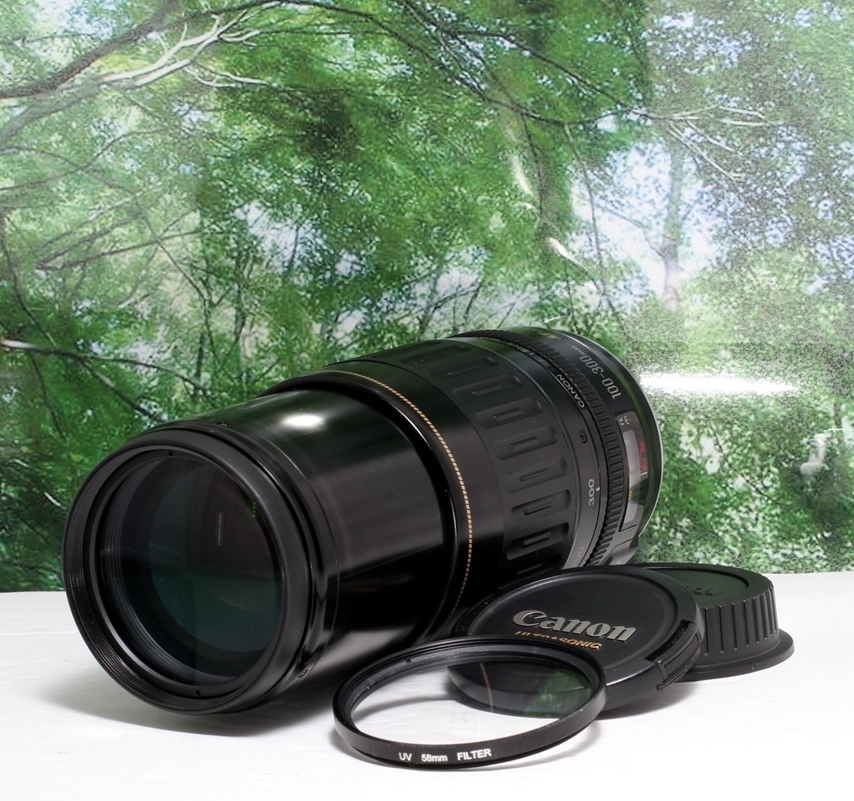 100-300mm EF Canon USM - f⁄4.5-5.6 L Review EF100-300mm 望遠ズーム ☆