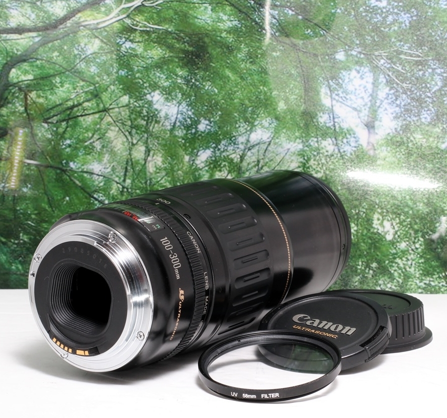 100-300mm EF Canon USM - f⁄4.5-5.6 L Review EF100-300mm 望遠ズーム ☆
