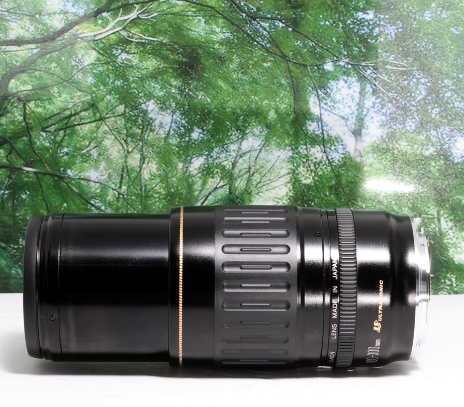 100-300mm EF Canon USM - f⁄4.5-5.6 L Review EF100-300mm 望遠ズーム ☆