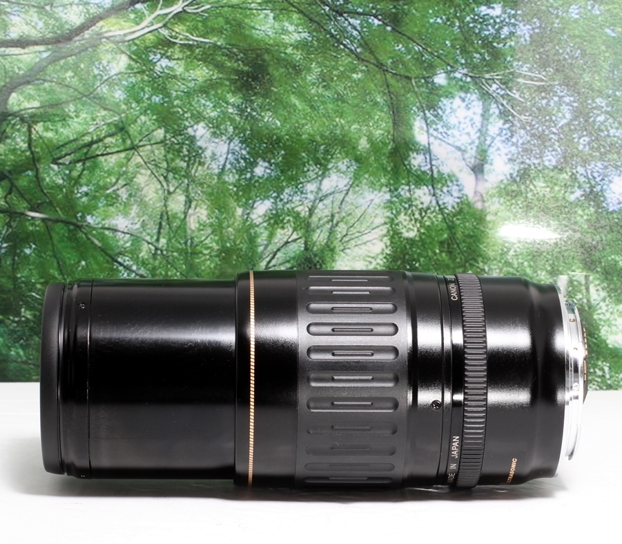 100-300mm EF Canon USM - f⁄4.5-5.6 L Review EF100-300mm 望遠ズーム ☆