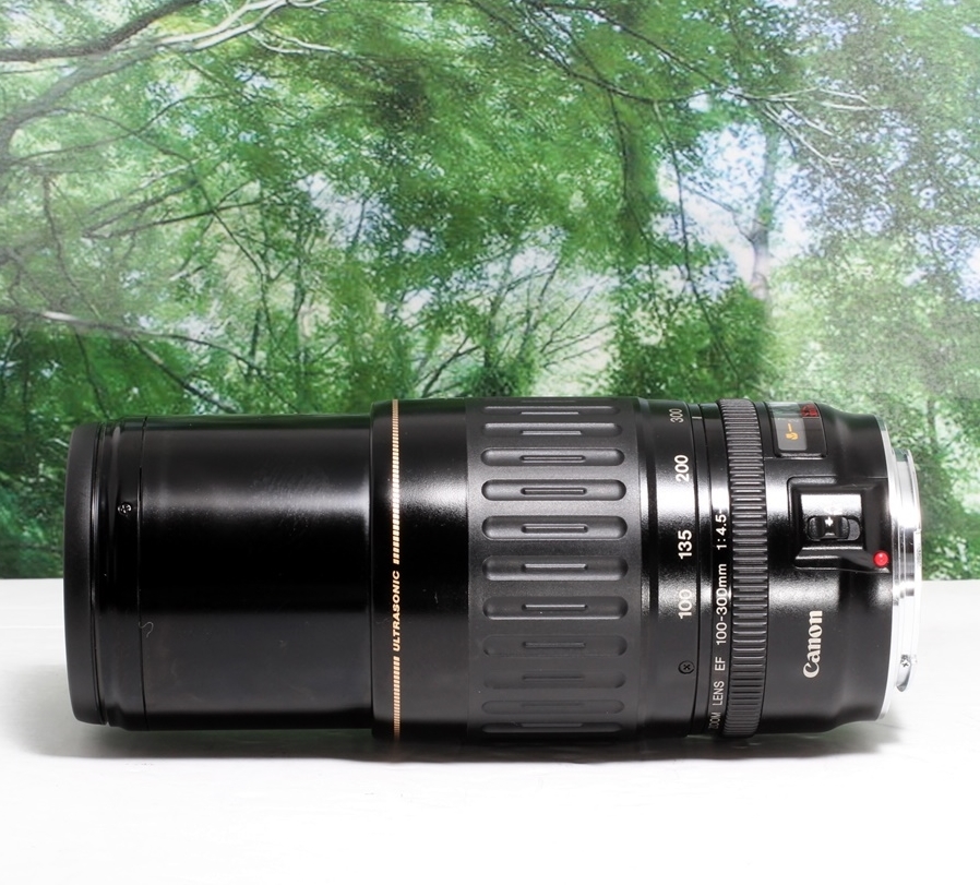 100-300mm EF Canon USM - f⁄4.5-5.6 L Review EF100-300mm 望遠ズーム ☆
