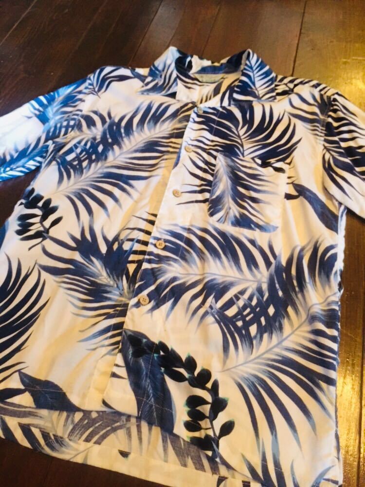 美色 希少 ヤシの葉 60