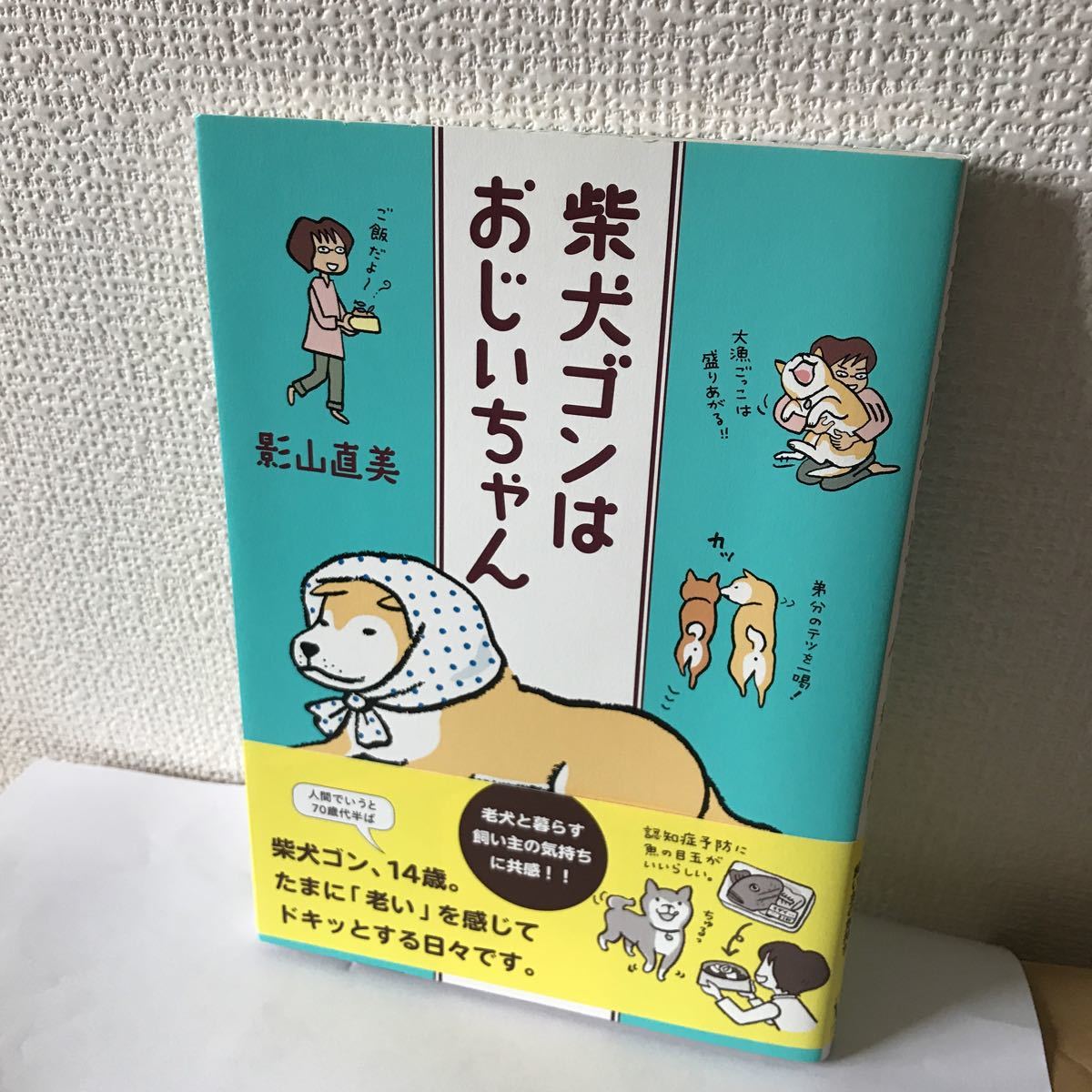 柴犬ゴンはおじいちゃん 銀柴さん イヌ一般 売買されたオークション情報 Yahooの商品情報をアーカイブ公開 オークファン Aucfan Com 柴犬ゴンはおじいちゃん 銀柴さん イヌ一般 売買されたオークション情報 Yahooの商品情報をアーカイブ公開 オークファン Aucfan Com