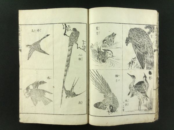 164◇鮮斎永濯◇萬物雛形画譜 三編 1冊◇明治14年 浮世絵 花鳥画 164◇鮮斎永濯◇萬物雛形画譜 三編 1冊◇明治14年 浮世絵 花鳥画