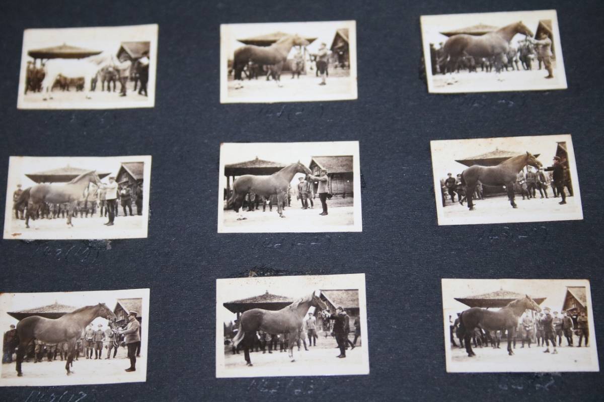 古写真 家族 大量 まとめ売り 軍人 大正6年から昭和25年までの日本の姿