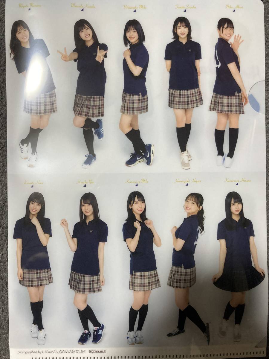 [非売品] 日向坂46 クリアファイル (新品未使用)_2