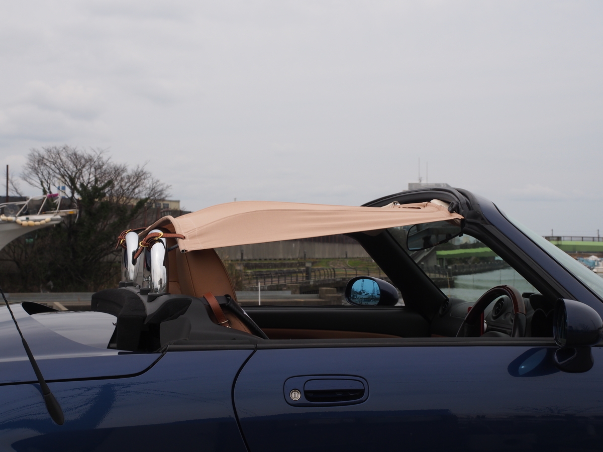 ◇【Copen AirTop3D/LA400K用/新色タン/国内送料込】コペン専用ビキニ