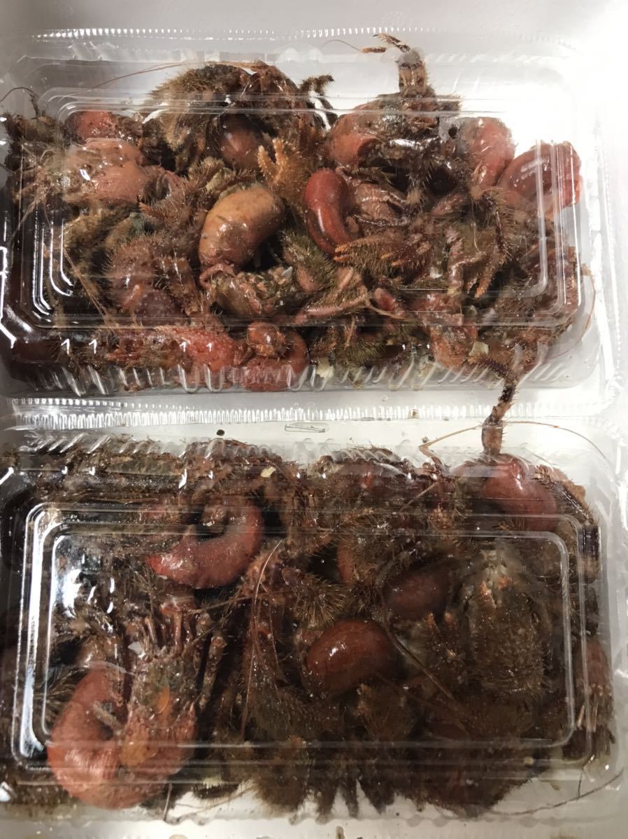 ヤドカリ冷凍 9パック