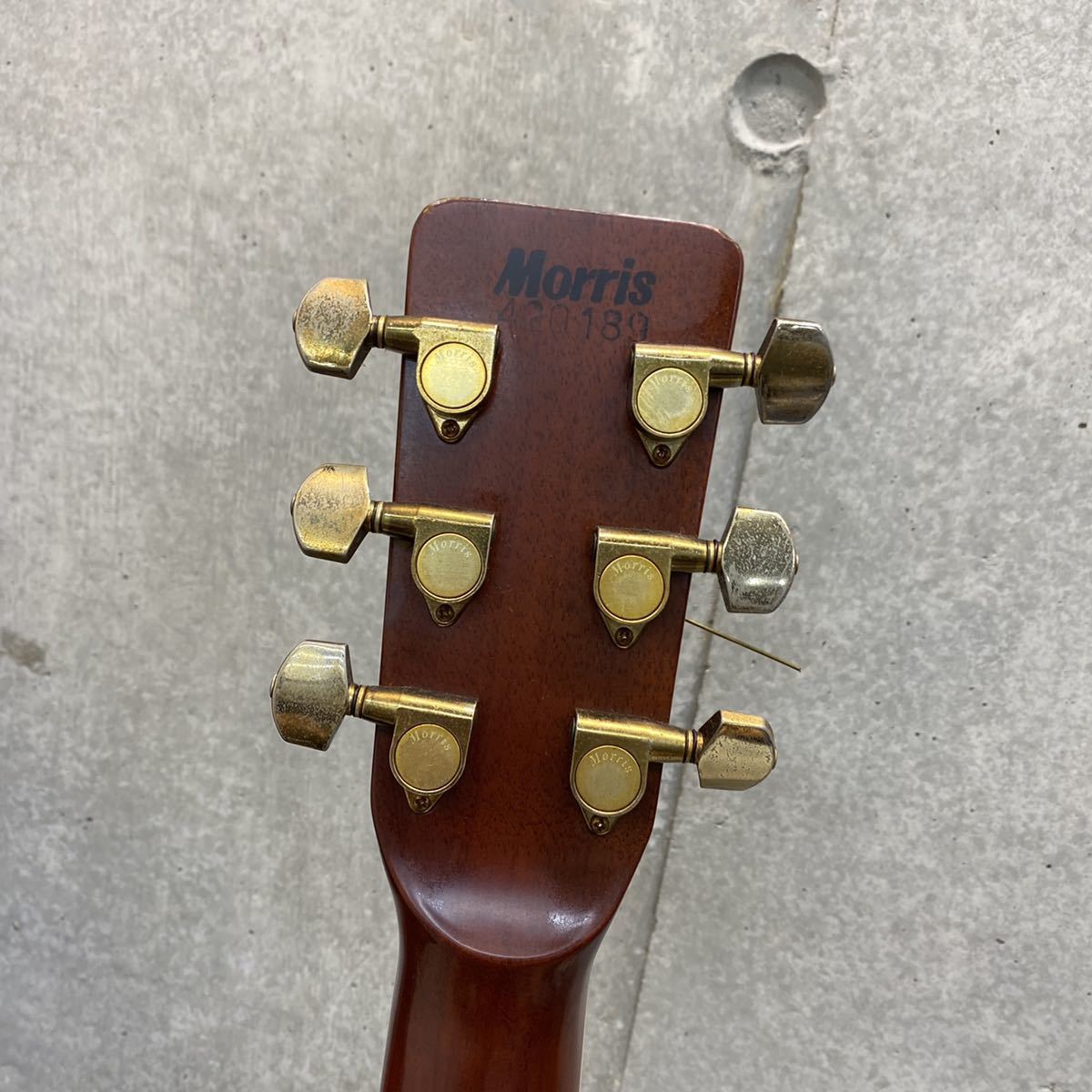 美品 ソフトケース付き モーリス Morris アコースティックギター