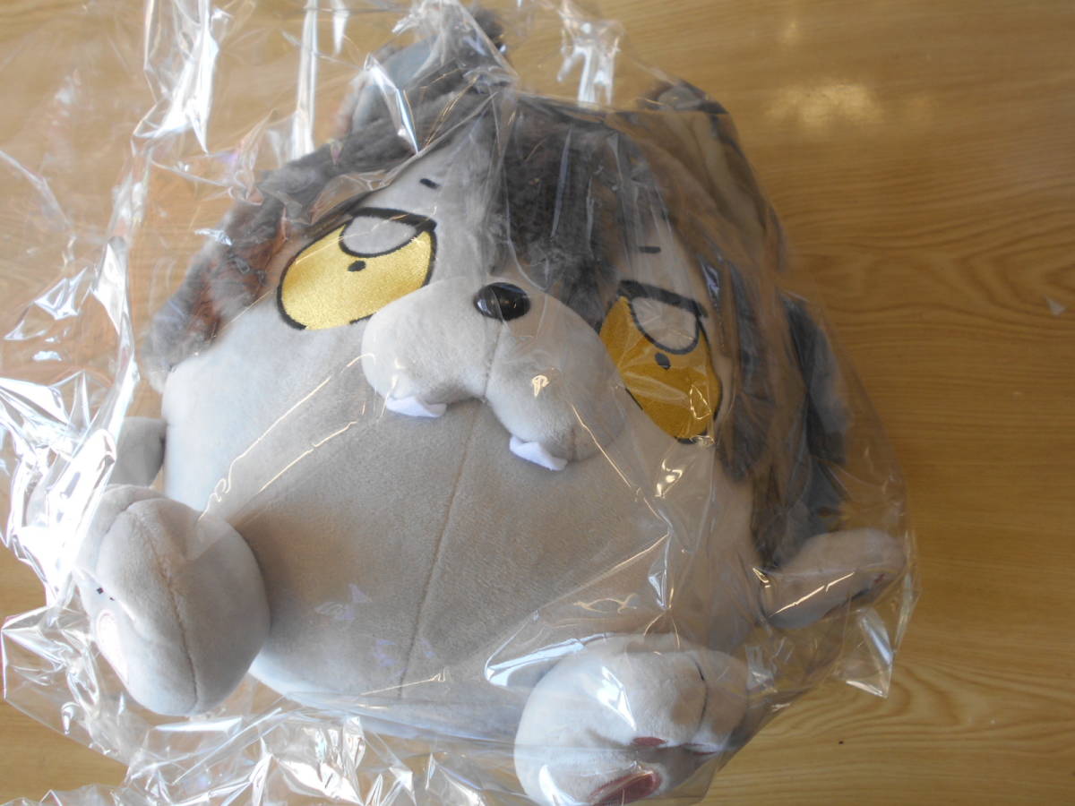 グッズ-ぬいぐるみあんさんぶくぶスターズ! こうがBIGサイズ