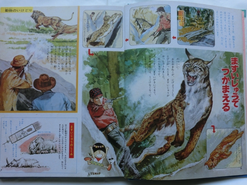 小学館 なぜなに学習図鑑 なぜなに動物のふしぎ - なぜなに学習図鑑
