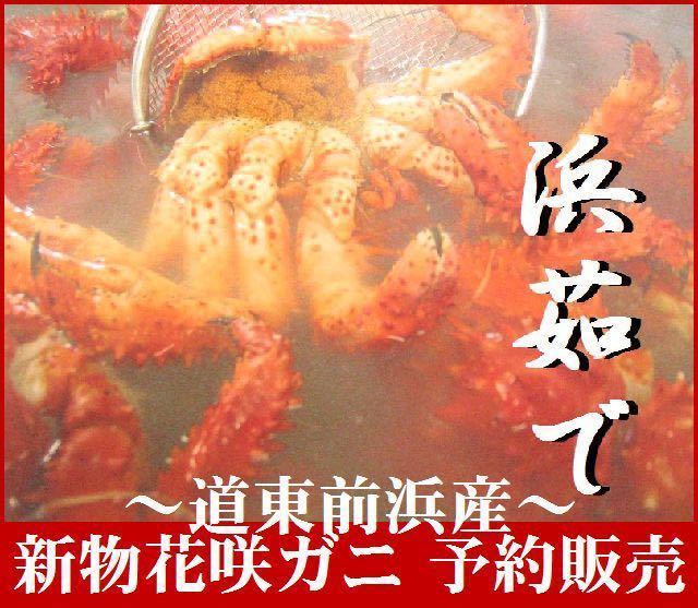 新物 訳あり花咲ガニ2ｋSET(その他)｜売買されたオークション情報、yahooの商品情報をアーカイブ公開 - オークファン その他