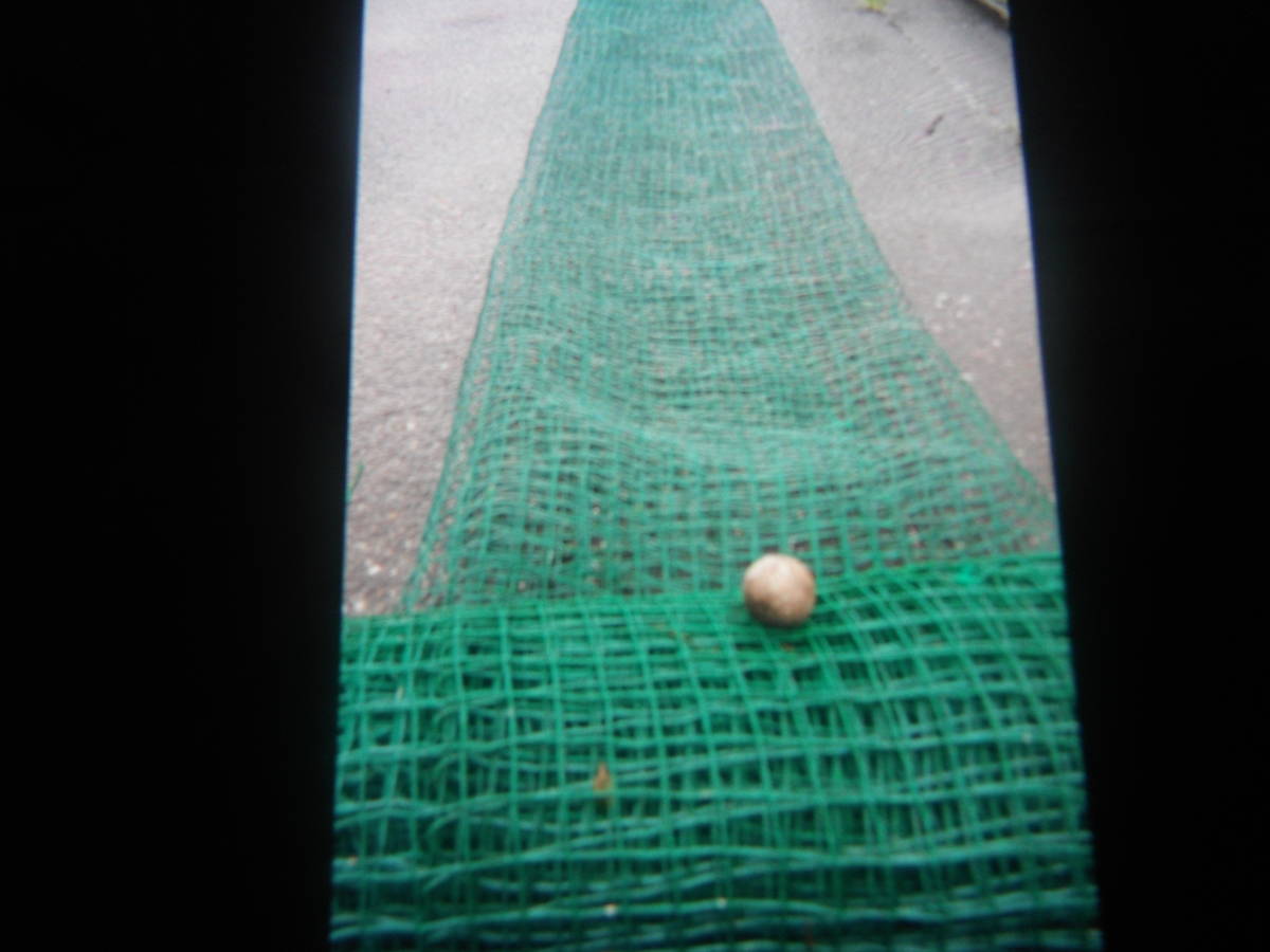大得価，新品 強力防護ネット 菜園を野鳥やイノシシ等から防護 敷地内への立ち入り防止ネット等(防除ネット)｜売買されたオークション情報、yahooの商品情報をアーカイブ公開 - オークファン 防除ネット