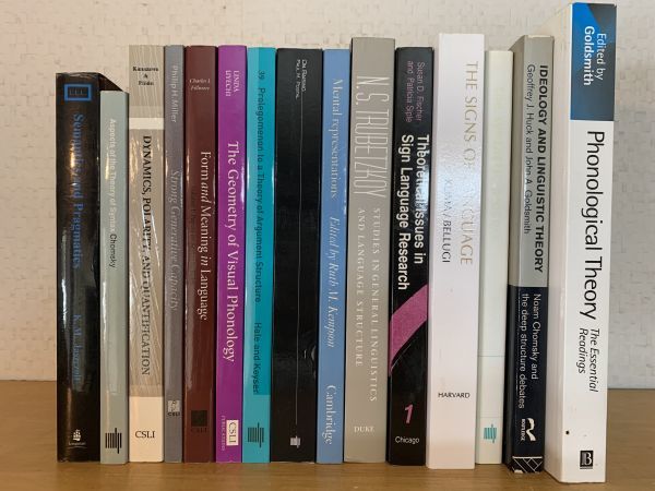 言語学関係洋書15冊一括 ペーパーバック英文洋書 本、雑誌 洋書