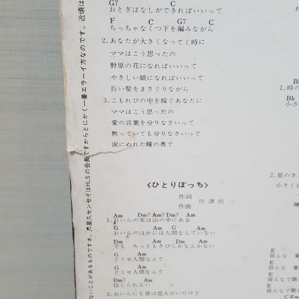 ディスク 1⁄18(土)日本の自主制作レコードセール おすすめレコード