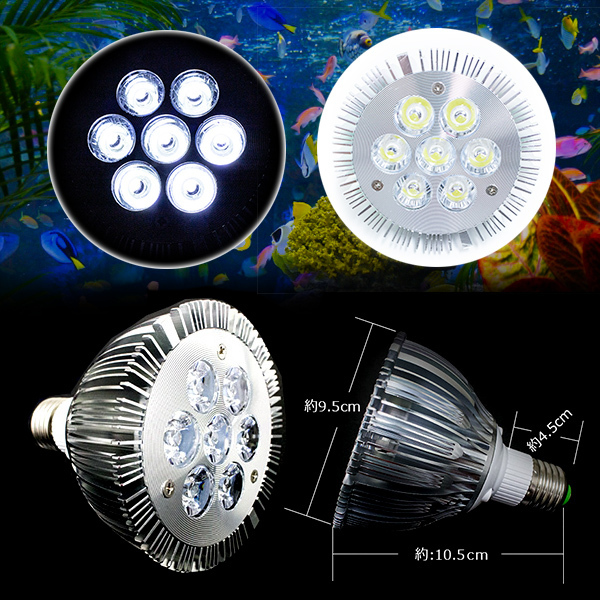 Led 電球 スポットライト 14w 白7灯 水槽 照明 E26 観賞育成用 Ledスポットライト 電気 水草 サンゴ 熱帯魚 観賞魚 植物育成 照明 売買されたオークション情報 Yahooの商品情報をアーカイブ公開 オークファン Aucfan Com