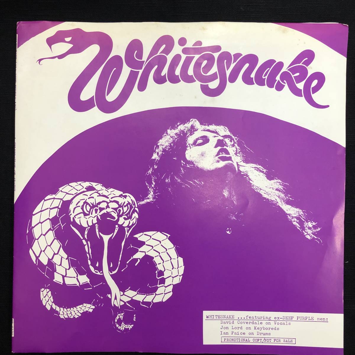 J67［LP］Whitesnake A Celebration Of Apathy アナログ レコード Rock