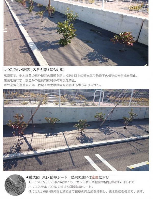 【在庫残りわずか】（東レ ダークグレー 210ｃｍ×25m×3枚）東レ TORAY 雑草防止 除草 防草シート 東レ製品 | OAフロア等の激安販売｜オフィスライン 在庫残りわずか（東レ 100X110X2 2400タイルカーペット