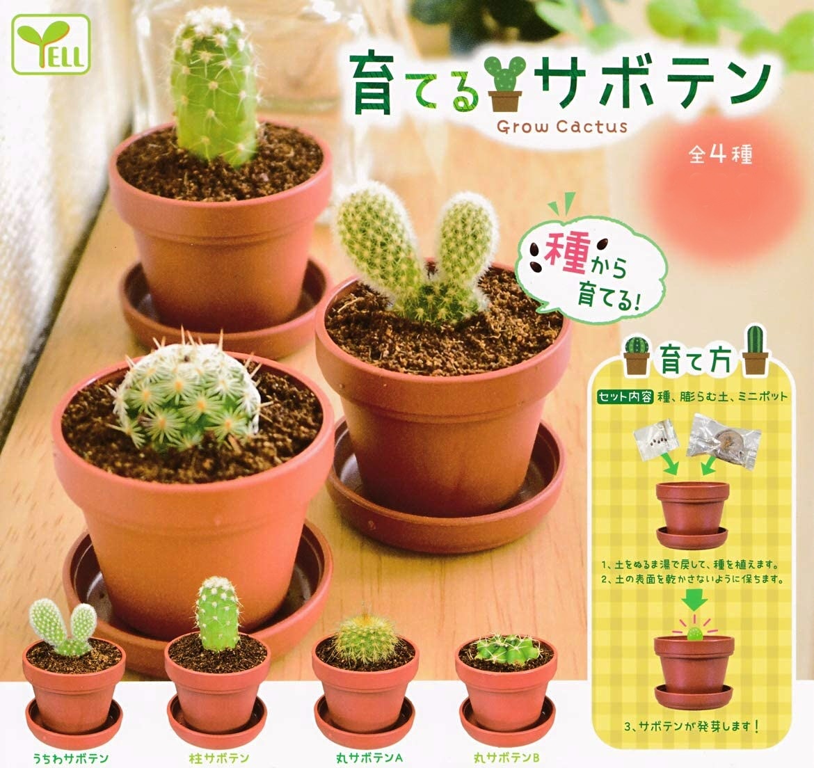 育てるサボテン Grow Cactus 全4種 うちわサボテン 柱サボテン 丸サボテンa 丸サボテンb 多肉植物 ミニサボテン ガチャ サボテン 売買されたオークション情報 Yahooの商品情報をアーカイブ公開 オークファン Aucfan Com