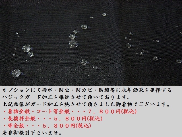 Live Runaways in Japan The – - In 0 Vinyl CD japan | Poster RUNAWAYS For